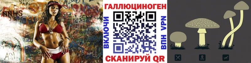 Псилоцибиновые грибы мицелий  Семёнов 